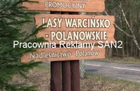 witacz_2