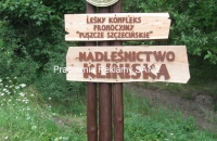 witacz_5