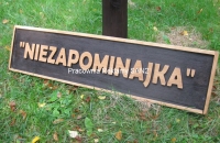 witacz_11