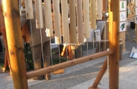 dendrofon1