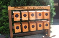 jaki-to-owoc