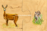 sarna 2