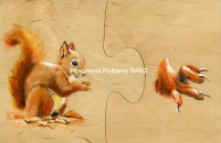 wiewiorka2