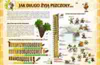 jak-długo-żyją-pszczoły-50-x-70-cm