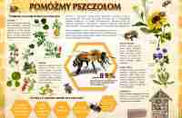 pomagajmy-pszczołom-50-x-70-cm