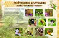 pożyteczni-zapylacze-1A-50-x-70-cm