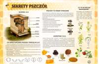 sekrety-pszczół-1-50-x-70-cm