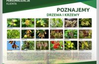 DRZWA-I-KRZEWY