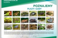 PLAZY-I-GADY