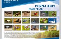 PTAKI-POLSKI
