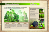 TABLICA-150X100-warstwowa-budowa-lasu-1-poprawione1a-mala