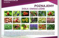ZIOLA-I-OWOCE-LESNE