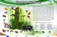drzewo-srodowisko-zycia2