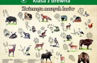 zwierzeta-naszych-lasow-1