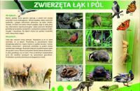 1-zwierzeta-lak-i-pol
