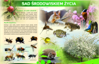 3-sad-srodowiskiem-zycia-Kopia