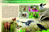 6-laka-i-pastwisko-maly